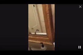 سكس جينا بروسلي